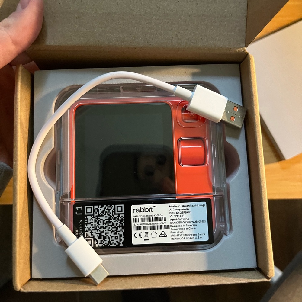 Rabbit R1 Pocket Companion